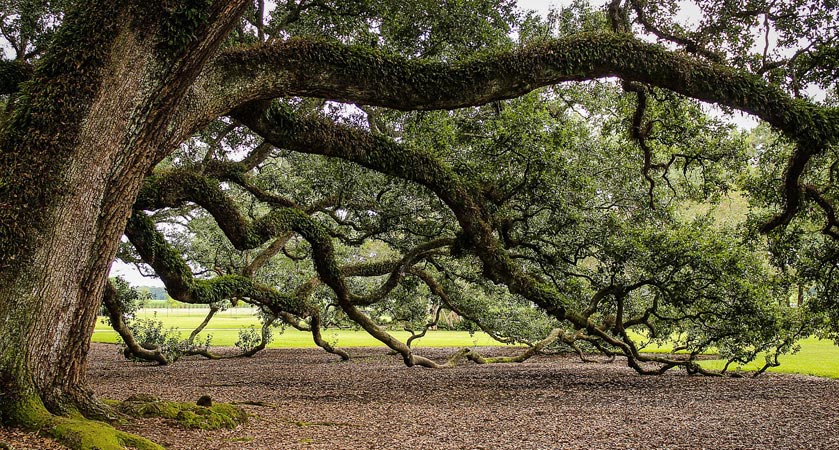 ip攻击器网页版